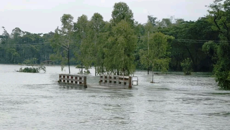 সিলেটজুড়ে বন্যা, পানিবন্দি সাড়ে ৫ লাখ মানুষ