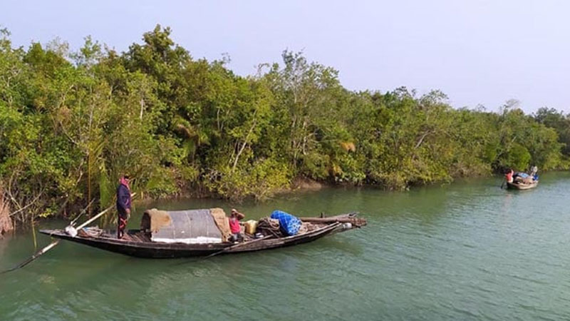 সুন্দরবনে প্রবেশে ৩ মাসের নিষেধাজ্ঞা