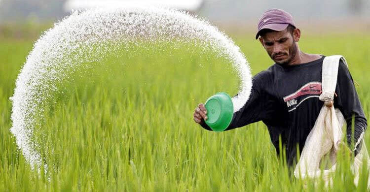 ৫৯৩ কোটি টাকার সার কিনবে সরকার