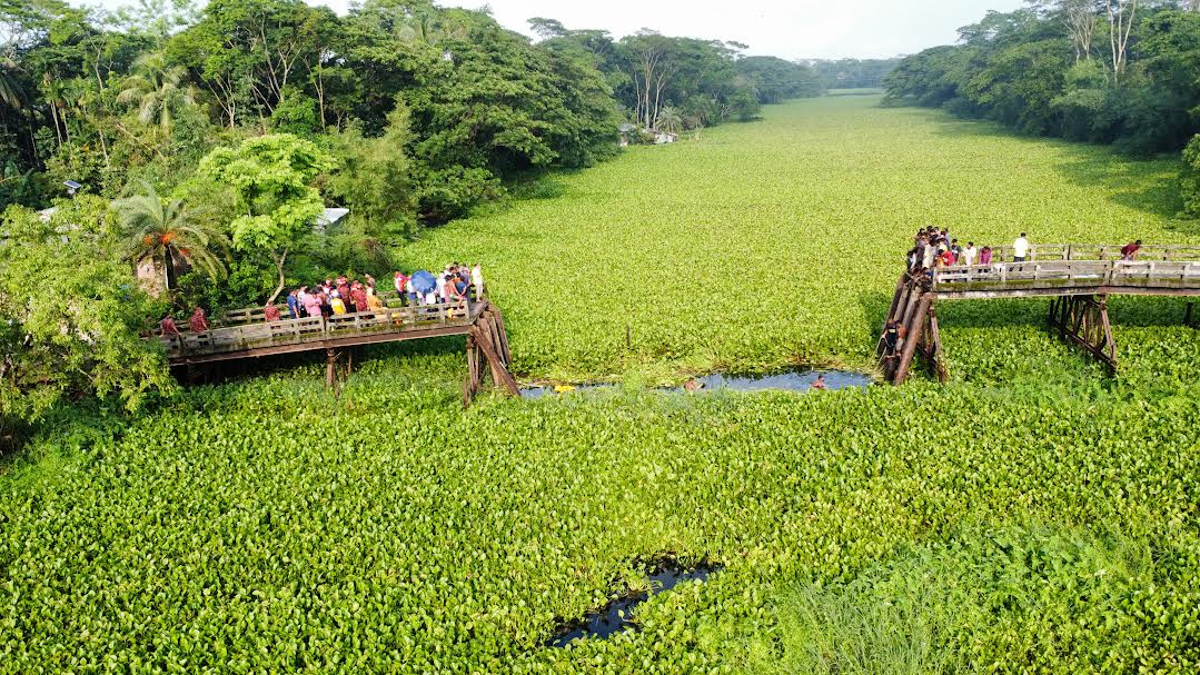 বরগুনায় ব্রিজ ভেঙে নিহত সবাই শিশু ও নারী