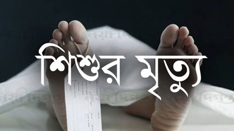 মাকে খুঁজতে বের হয়ে ট্রাকচাপায় শিশু নিহত