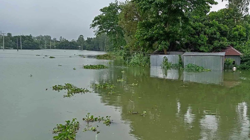 যমুনার পানি বাড়ছেই, সিরাজগঞ্জে গ্রামের পর গ্রাম প্লাবিত