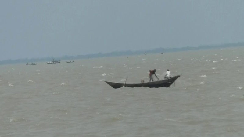 মেঘনা-তেঁতুলিয়ায় ইলিশ সংকট, বিপাকে জেলেরা