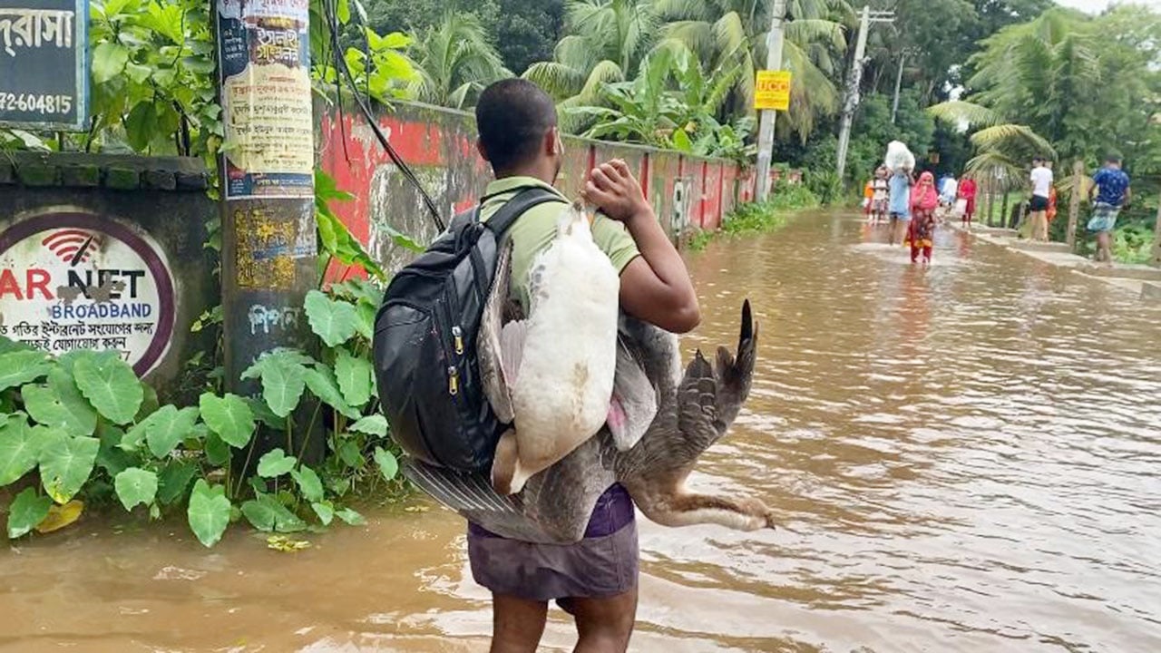 বিশেষজ্ঞদের ধারণার বাইরে ছিল এবারের বন্যা