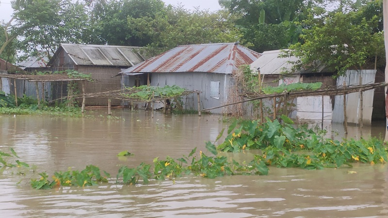 কুড়িগ্রামে নদ-নদীর পানি বাড়ছেই, প্লাবিত নিম্নাঞ্চল