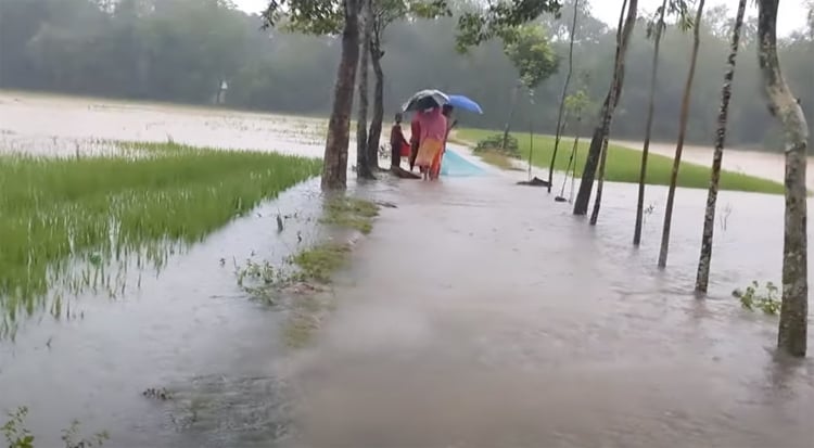 শেরপুরের নিম্নাঞ্চল প্লাবিত: ৩ জনের প্রাণহানি