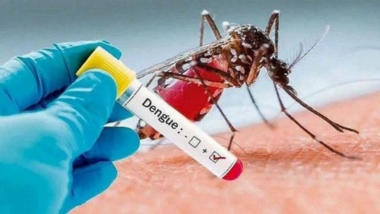 ডেঙ্গুতে আরও দুইজনের মৃত্যু