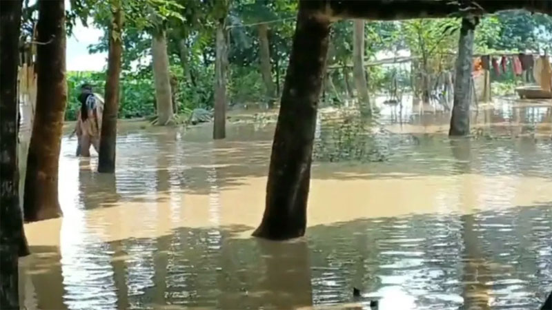 শেরপুরে বন্যায় ৫০০ কোটি টাকার ফসলের ক্ষয়ক্ষতি