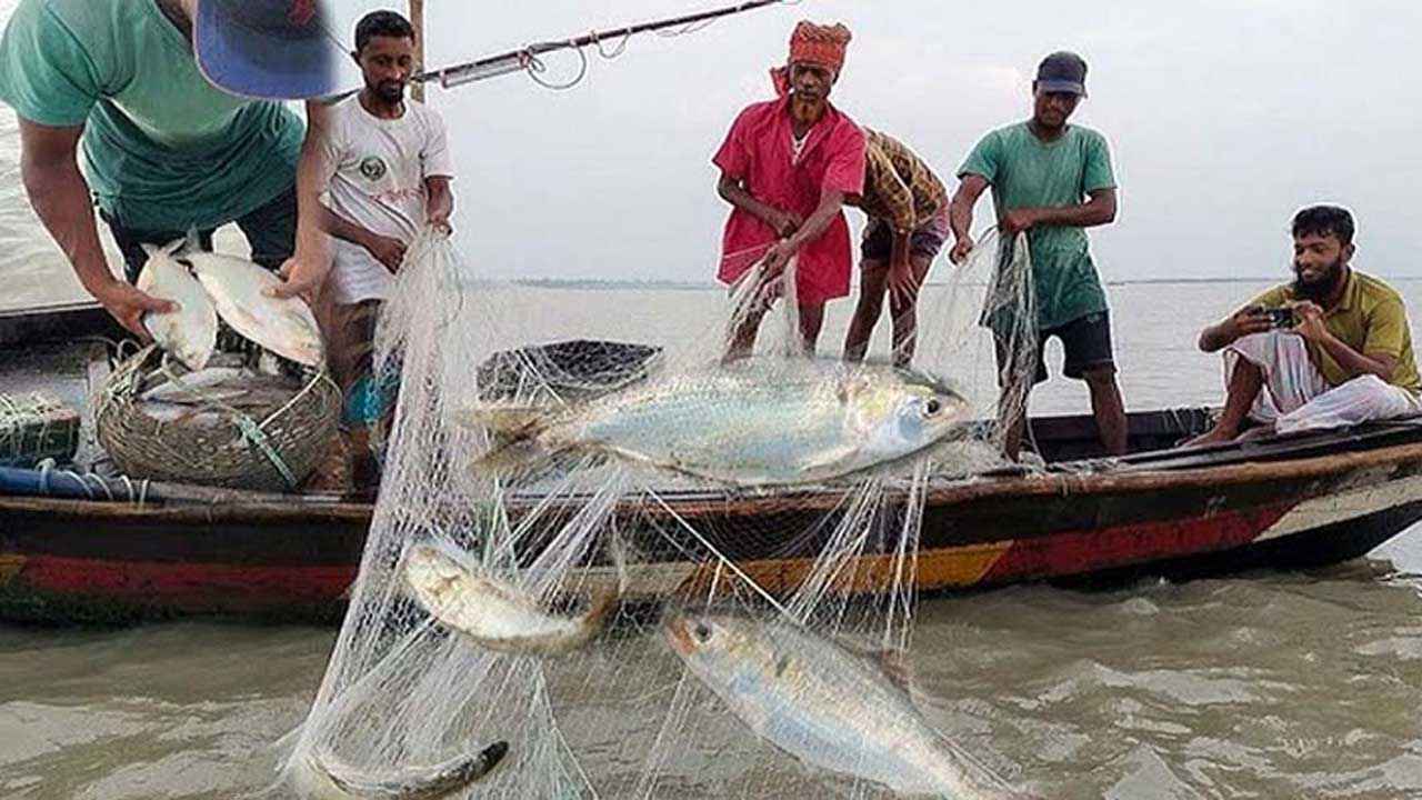 ২২ দিনের জন্য বন্ধ হলো ইলিশ ধরা