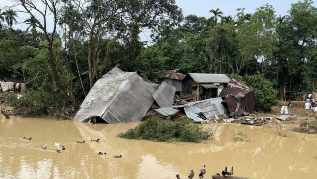 বন্যায় বিপর্যস্ত শেরপুরবাসী, কৃষি ও মৎস্য খাতে ক্ষতি ৬০০ কোটি টাকার বেশি