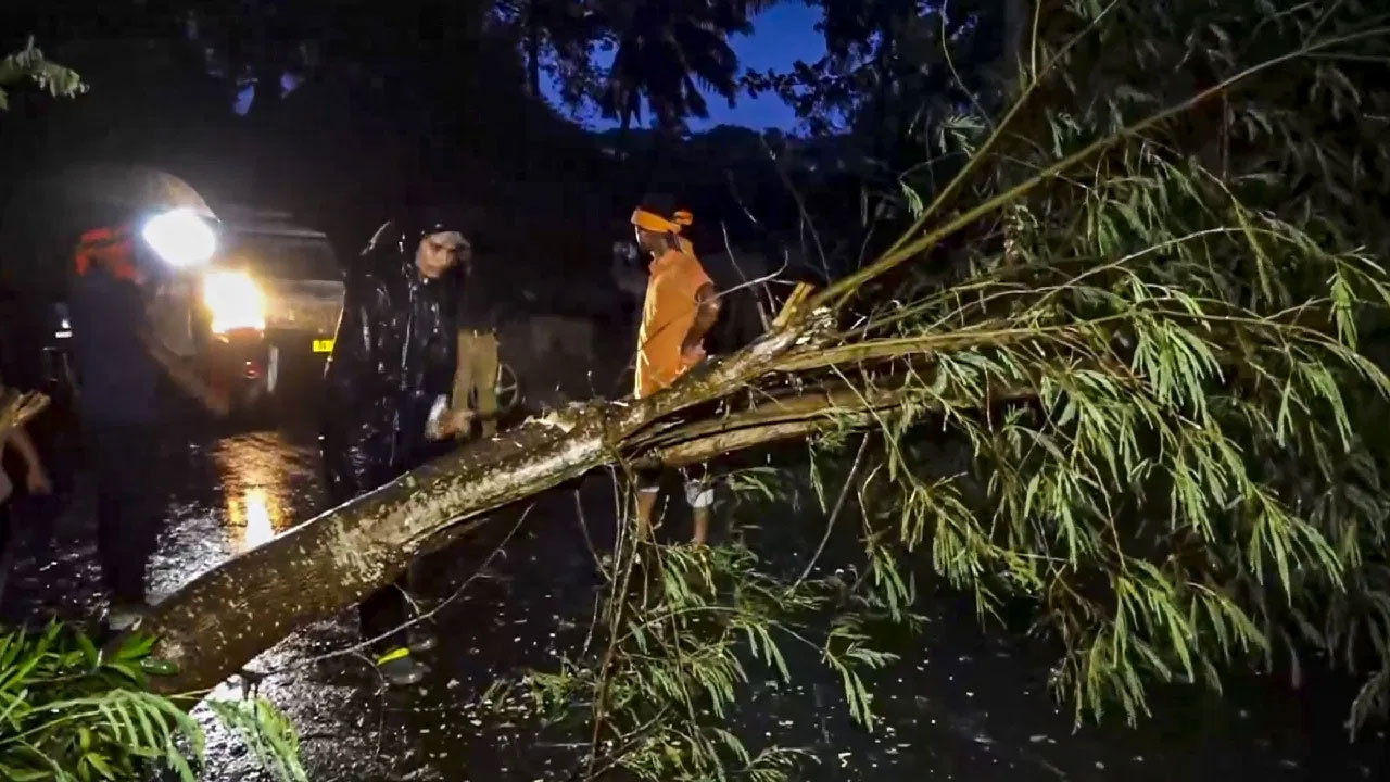 ভারতের ওড়িশা রাজ্যে আছড়ে পড়েছে ঘূর্ণিঝড় দানা