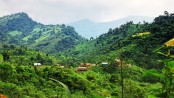 বান্দরবানে সেনা অভিযানে ৩ কেএনএফ সদস্য নিহত