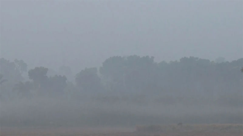 দেশের সর্বনিম্ন তাপমাত্রা চুয়াডাঙ্গা ও গোপালগঞ্জে