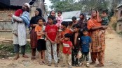 খাগড়াছড়িতে ৮১ ভারতীয়কে পুশ-ইন করল বিএসএফ
