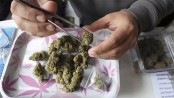 থাইল্যান্ডে গাঁজা কিনতে লাগবে প্রেসক্রিপসন!