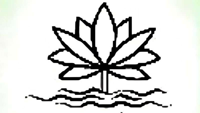 ভোটের মার্কা শাপলা নয়, ইসির নীতিগত সিদ্ধান্ত
